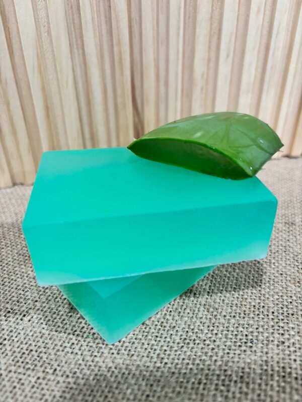 Aloe Silk